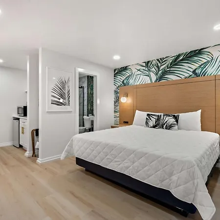 Studio 1 King Bed Sleeps 2 Pet-Friendly Myrtle Beach Exterior photo